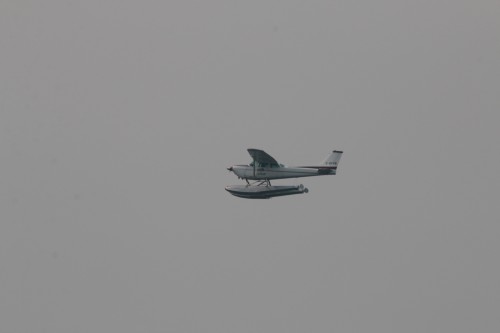 IMG_0850.jpg