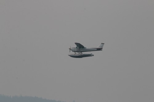 IMG_0851.jpg