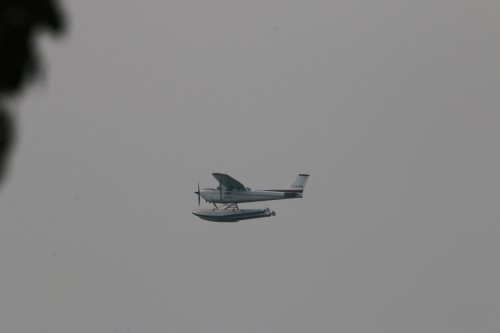 IMG_0852.jpg